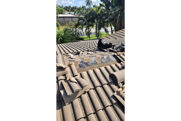 Bulls Roofing Master image 9
