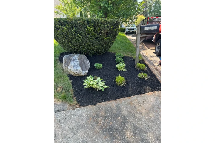 LANDSCAPING SERVICES image 10