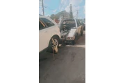 Hialeah JUNK CARS $1000