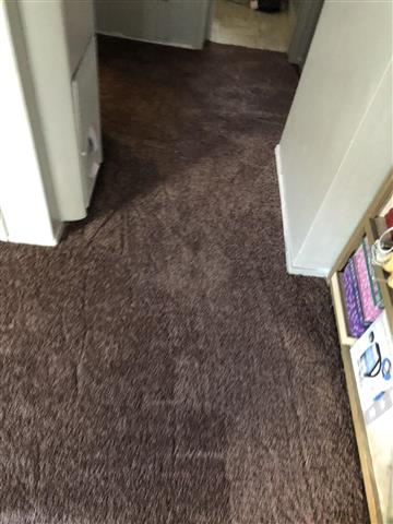 Flooring and carpet image 9