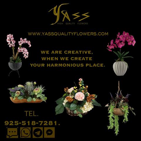 Yass HIgh Quality Flowers image 2