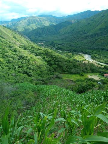 $180000 : IN VILCABAMBA LOJA-ECUADOR image 3