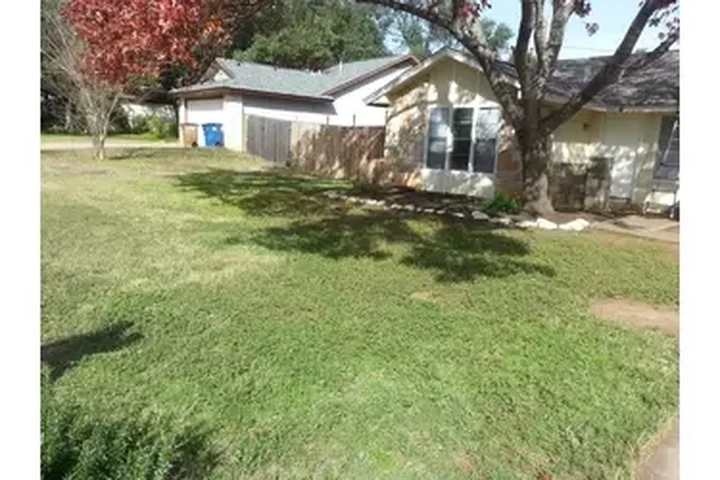 CLEAN LEAVES IN YOUR HOME image 7