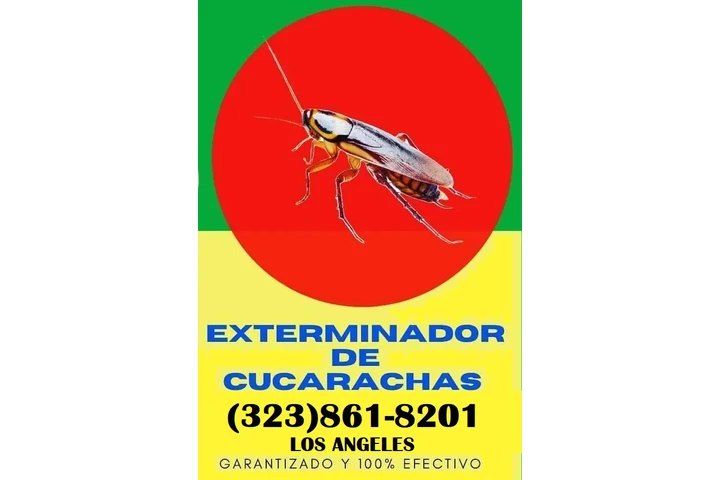 Fumigaciones Navideños 2025 image 1