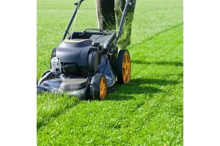 CANALEZ GARDENING SERVICES image 2