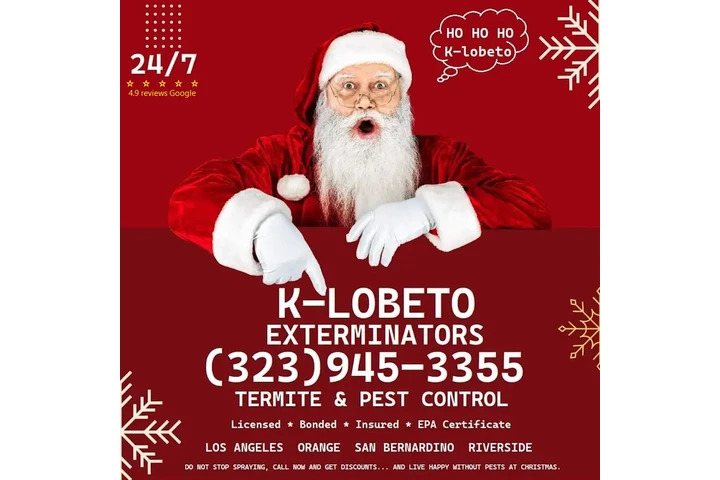 CHRISTMAS FUMIGATIONS 2025🎅 image 3