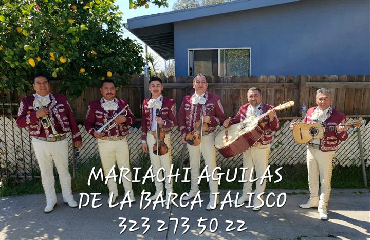 Mariachi aguilas de la barca j image 1