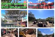 Canales'Landscape Tree Service thumbnail 3