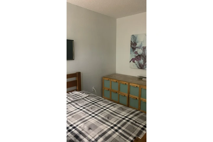 $800 : Rento Habitacion a Dama sola image 1