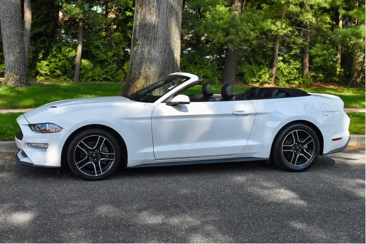$13995 : Ford Mustang 2019 EcoBoost 2 image 3