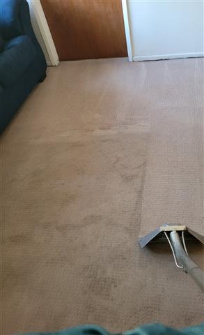 🧼 Arizmendi's Carpet Cleaning image 8