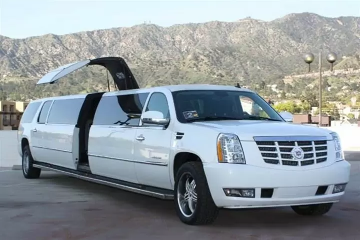 13233856621 LIMO image 4