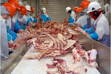 Empacadores de Carne- Vernon en Los Angeles