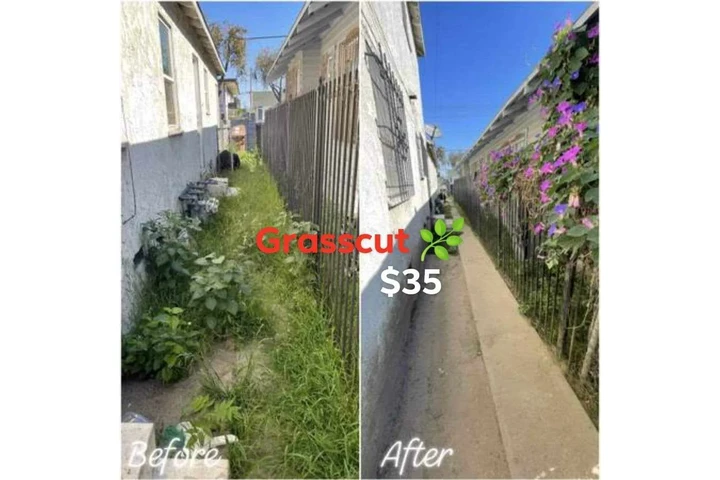 Grasscut weeds shrubs 🏡📲🌴 image 4