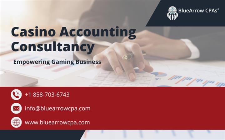 Casino Accounting Consultancy image 1