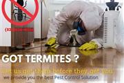 TERMITE-PEST CONTROL 24/7 L.A. en Los Angeles