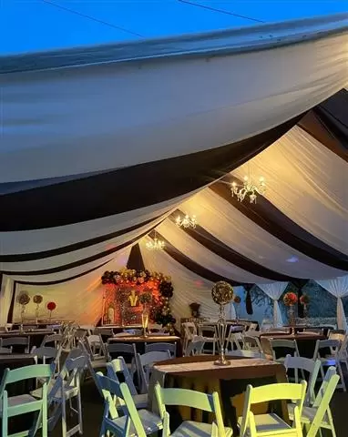 Carpas Drape chandeliers image 2