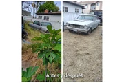 Ali Hauling Demolition thumbnail 3