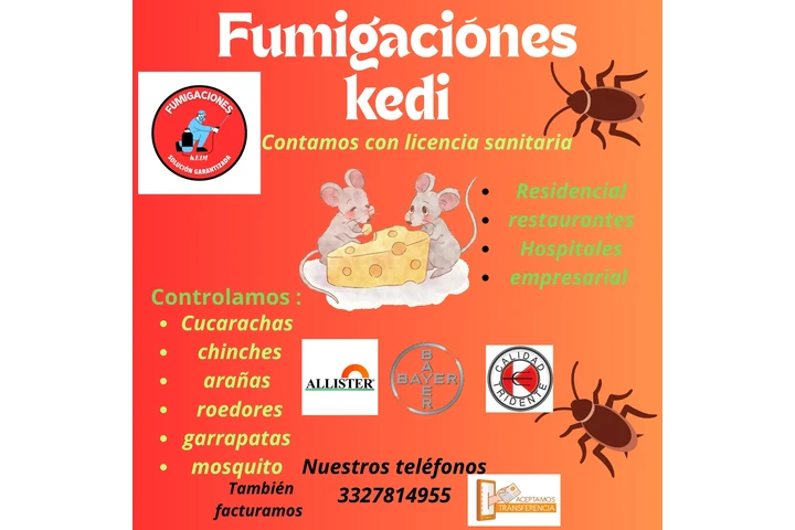 Fumigaciones Kedi image 1