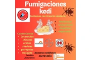 Fumigaciones Kedi en Guadalajara
