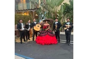 Mariachi Sol de Veracruz thumbnail 3