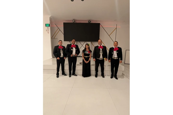 Mariachi pedregal 213 9921117 image 2