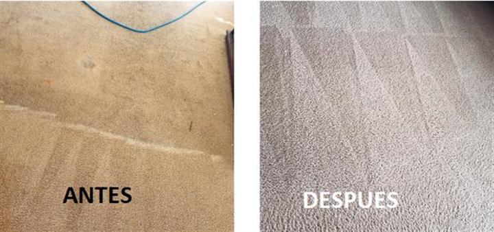 Lucas Carpet Cleaning image 2