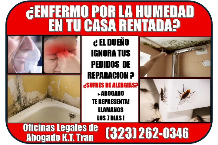 EL DUEÑO NO HACE REPARACIONES! image 4