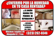 EL DUEÑO NO HACE REPARACIONES! thumbnail
