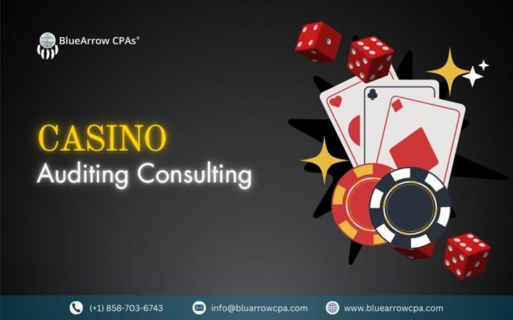 Casino Auditing Consulting image 1