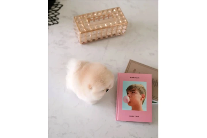 $350 : Pomerania taza de té image 1