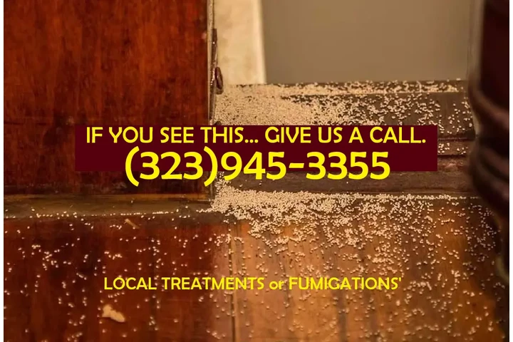 " TERMITE & PEST CONTROL.L.A." image 7