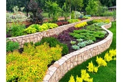 Bacilio Landscaping Services thumbnail