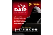 INVESTIGADORES DAIP PEREIRA thumbnail