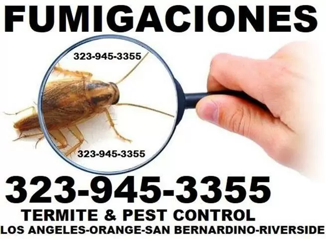 LICENCIA FUMIGADOR CALIFORNIA image 9