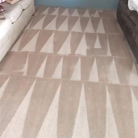 Carpet Cleaning Services image 3