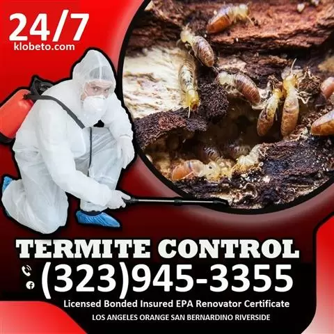 FUMIGACIONES 24/7 TERMITE-PEST image 5