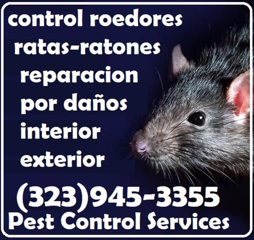 RODENTS PEST CONTROL SERVICES image 1