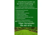 Eco green en Miami