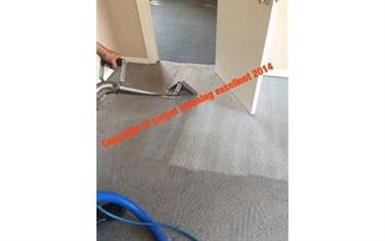 Carpet Cleaning profesional image 3