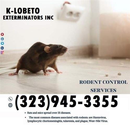 RODENTS CONTROL NEAR ME 24/7 image 2