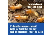 FUMIGACION TERMITAS 24/7 en Los Angeles