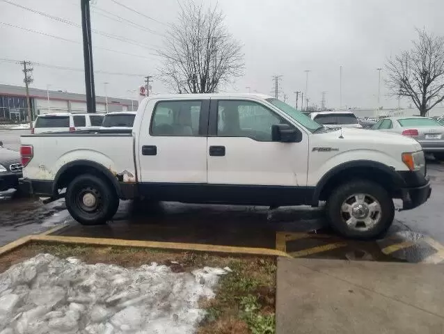 2009 F-150 image 1