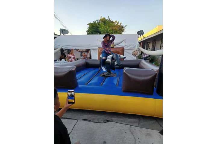 TOROS*WATER SLIDES*CARPAS image 10