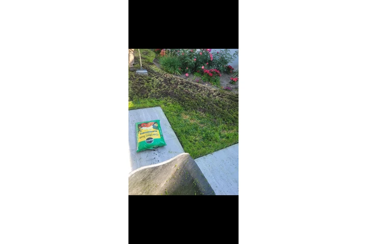 Alvarez Gardening image 3