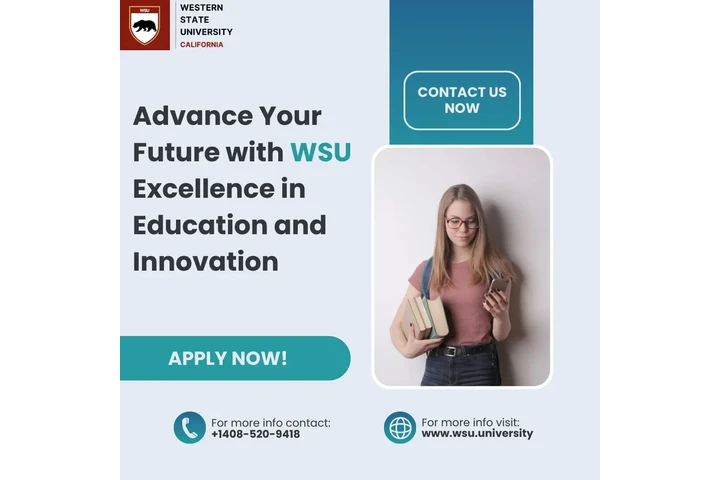 Online University image 1