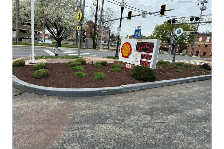 🍂HIDALGO LANDSCAPING🍂 image 10