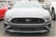 $22643 : Ford Mustang 2022 EcoBoost 2 thumbnail