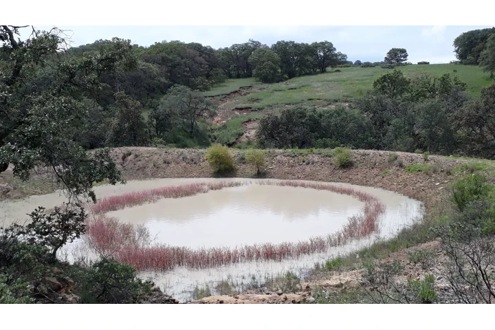 $750000 : TERRENO D 5000M2 CERCA AMEALCO image 8