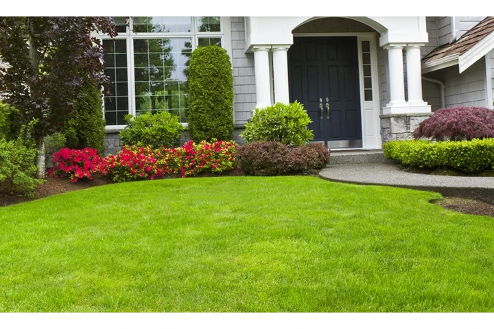 Expertos en Lawn Care image 1